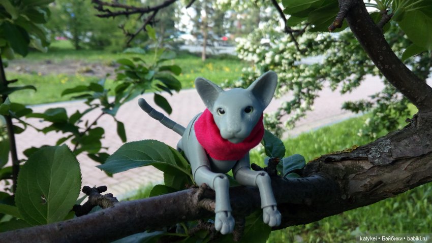 Занимательная ботаника с Кварком