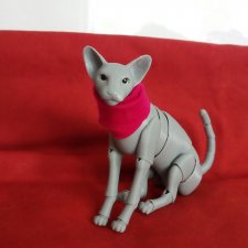 Заявление (опрос)