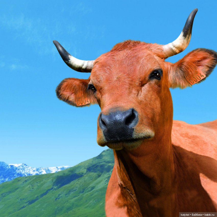 Пространство (челендж) 2 | Бэйбики Пространство (челендж) 2 — Болталка и разговоры обо всем: жизнь (фото 2)