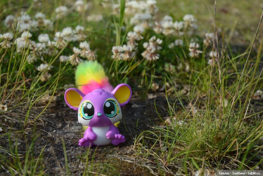 Это я удачно приземлилась! (постконкурс)