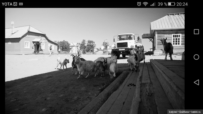 День Фотографа | Бэйбики День Фотографа — Болталка и разговоры обо всем: жизнь
