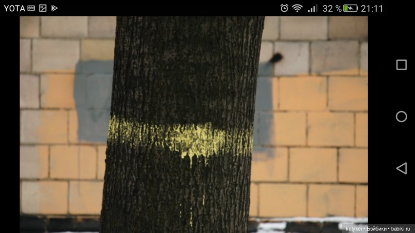 День Фотографа | Бэйбики День Фотографа — Болталка и разговоры обо всем: жизнь (фото 10)