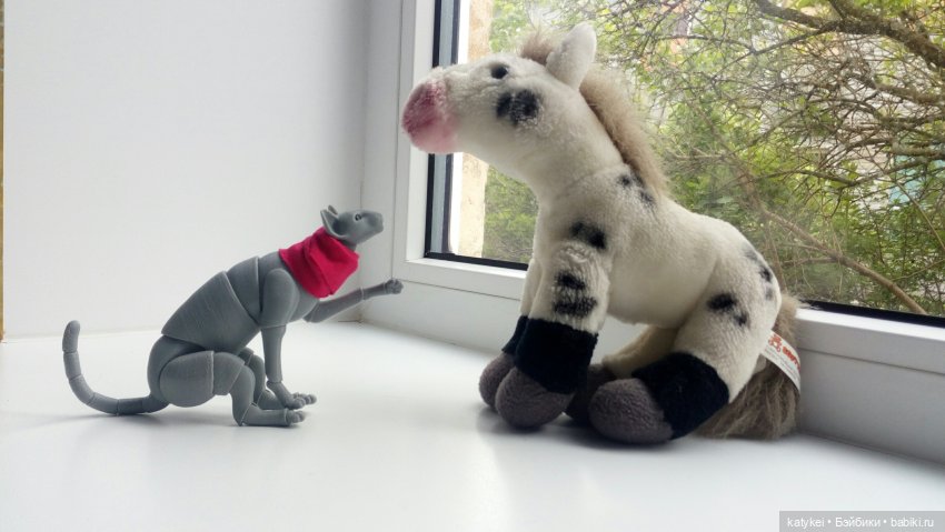 Лето 2021 — Болталка и разговоры обо всем: жизнь