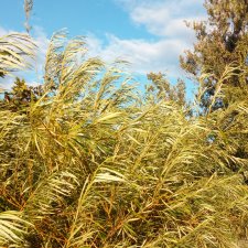 Внимание — понимание. 2 года на сайте