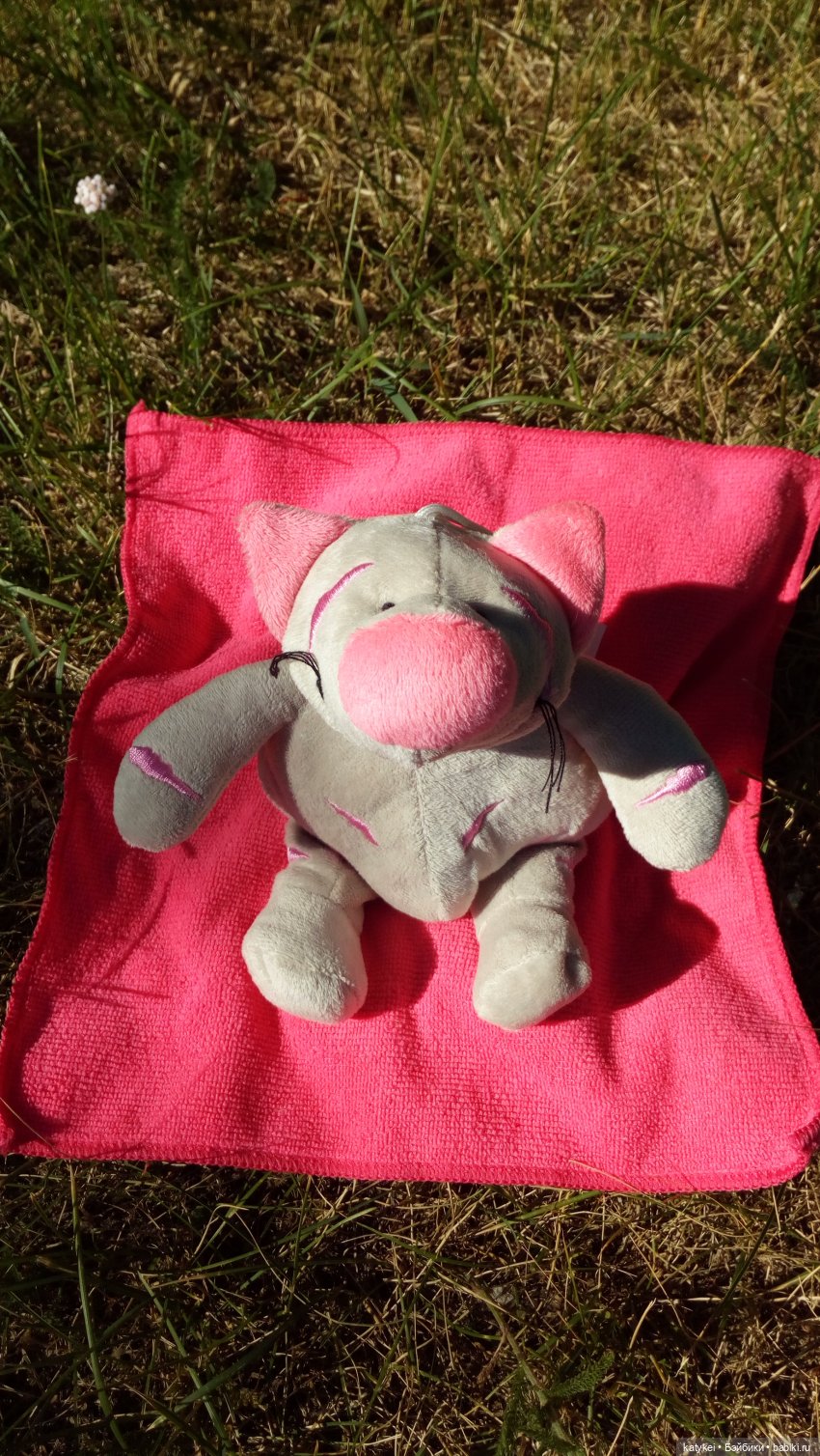 Мне нужна одежда и фотосессия (Сальмо) | Бэйбики Мне нужна одежда и фотосессия (Сальмо) (фото 8)