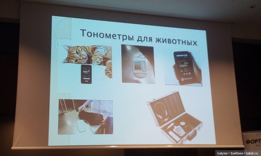 Сальмо на Ветеринарной конференции | Бэйбики Сальмо на Ветеринарной конференции (фото 2)