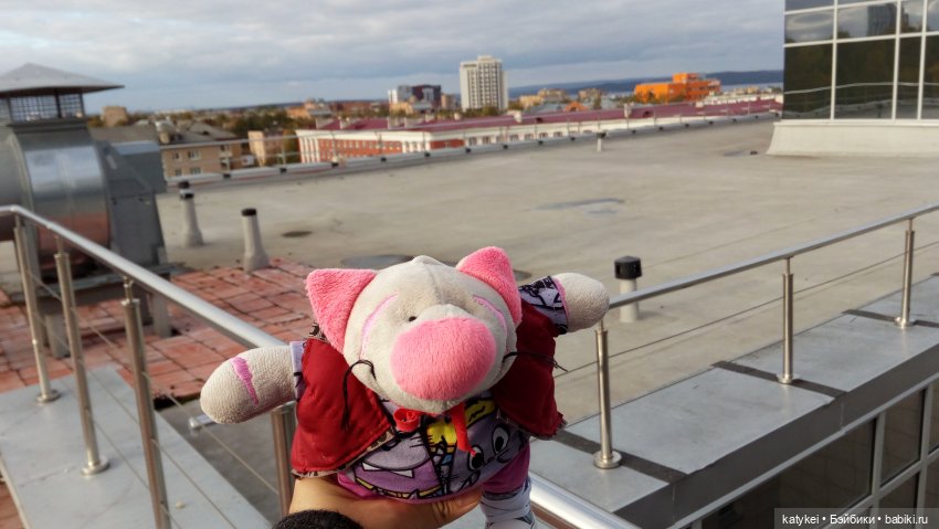 Сальмо на Ветеринарной конференции | Бэйбики Сальмо на Ветеринарной конференции