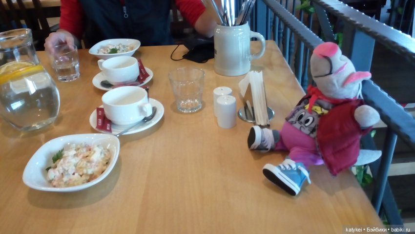 Сальмо на Ветеринарной конференции | Бэйбики Сальмо на Ветеринарной конференции (фото 5)