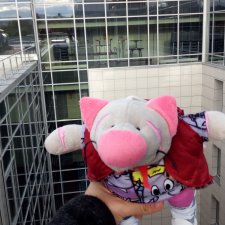 Сальмо на Ветеринарной конференции