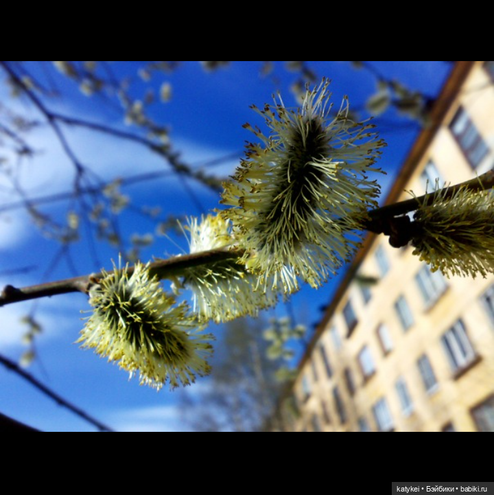 Как сделать ваши фото ещё лучше. Разбор полётов