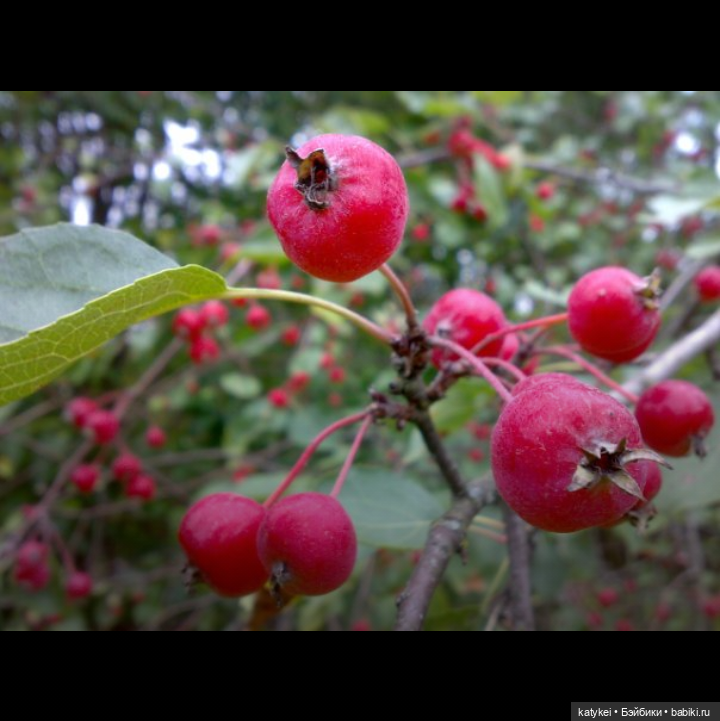 Как сделать ваши фото ещё лучше. Разбор полётов