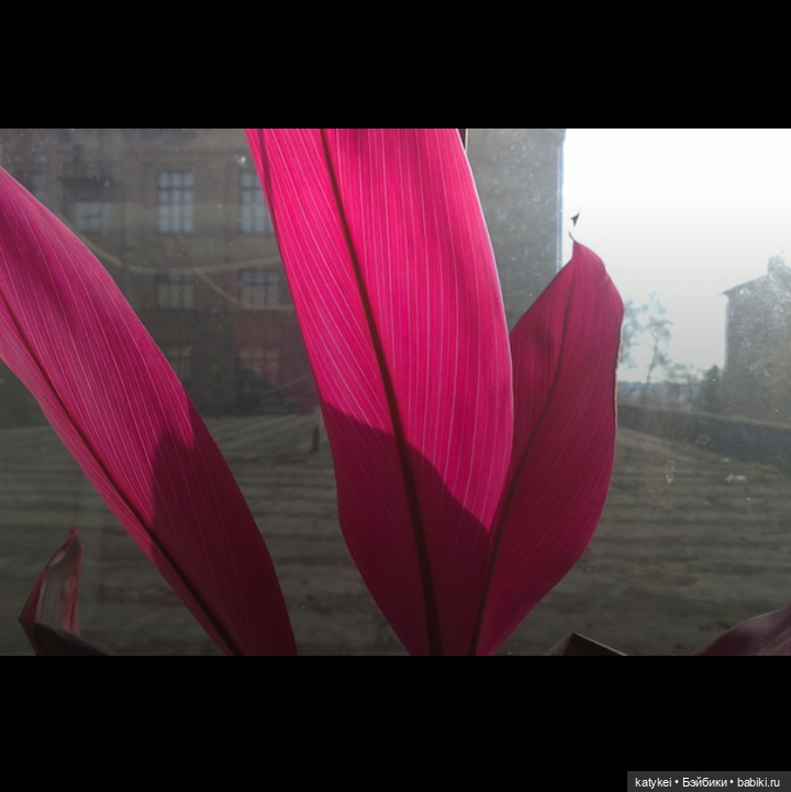 Как сделать ваши фото ещё лучше. Разбор полётов (фото 9)