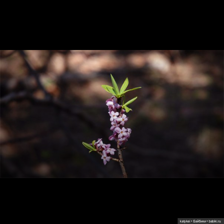 Как сделать ваши фото ещё лучше. Разбор полётов (фото 10)