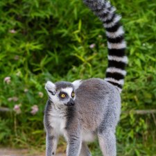 Пространство (челендж) 5