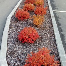 Цветотипы 1