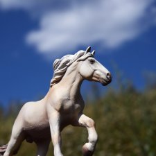 Бег иноходца (постконкурс)