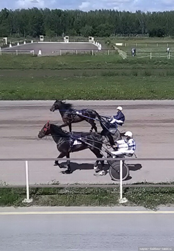 Бег иноходца (постконкурс) | Бэйбики Бег иноходца (постконкурс) (фото 3)