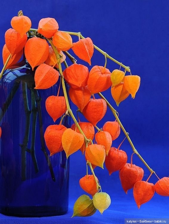 Цветотипы 3 (и опрос) — Болталка и разговоры обо всем: жизнь (фото 3)