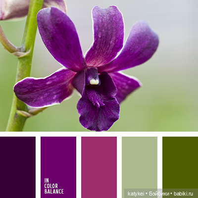 Цветотипы 3 (и опрос) — Болталка и разговоры обо всем: жизнь