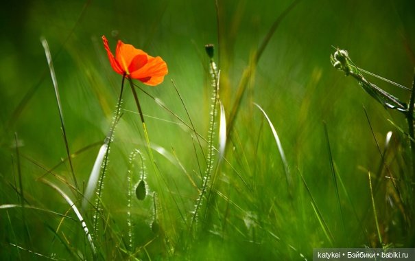 Музыка и фото — Болталка и разговоры обо всем: жизнь