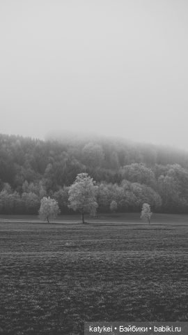 Музыка и фото — Болталка и разговоры обо всем: жизнь (фото 9)