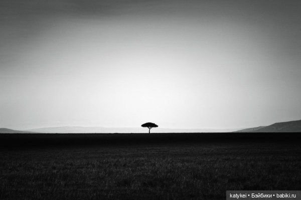 Музыка и фото — Болталка и разговоры обо всем: жизнь (фото 6)