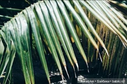 Музыка и фото — Болталка и разговоры обо всем: жизнь (фото 3)