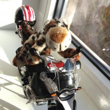 Кто ещё умеет?