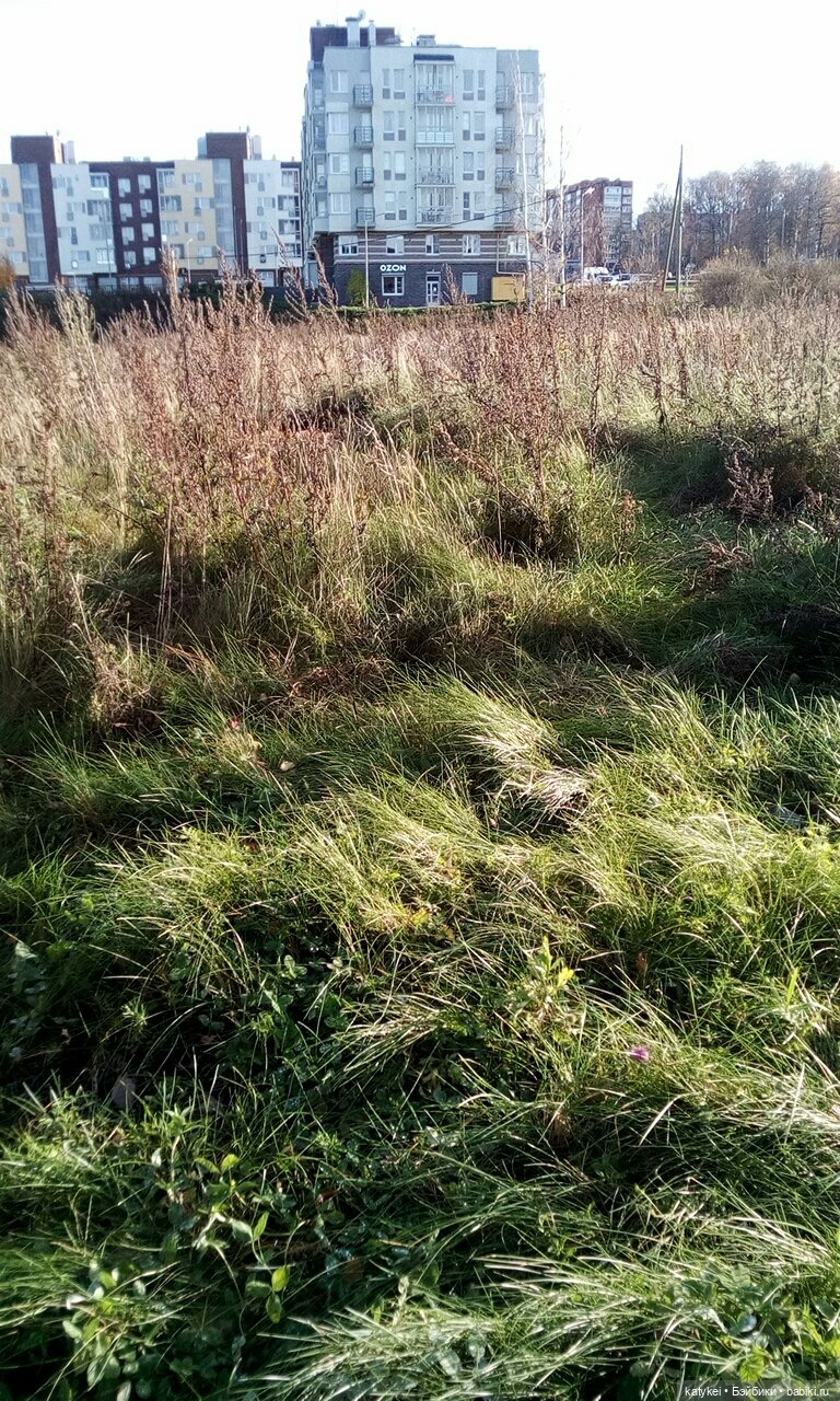 Без листиков (Сальмо) — Коллекционные игрушки и фигурки: Lego