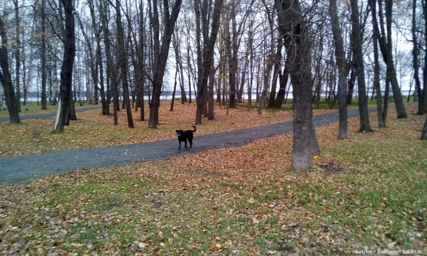 Без листиков (Сальмо) — Коллекционные игрушки и фигурки: Lego (фото 5)