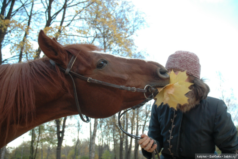 С листиками (1) — Интересные игрушки и фигурки (разное): редкие (фото 8)