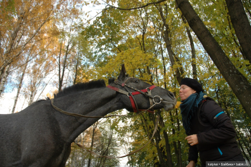 С листиками (1) — Интересные игрушки и фигурки (разное): редкие