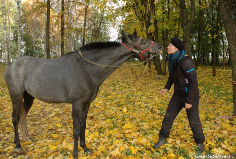 С листиками (1) — Интересные игрушки и фигурки (разное): редкие (фото 10)