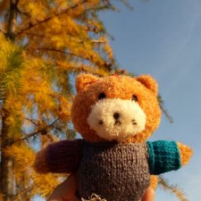 Кот Джинджифот