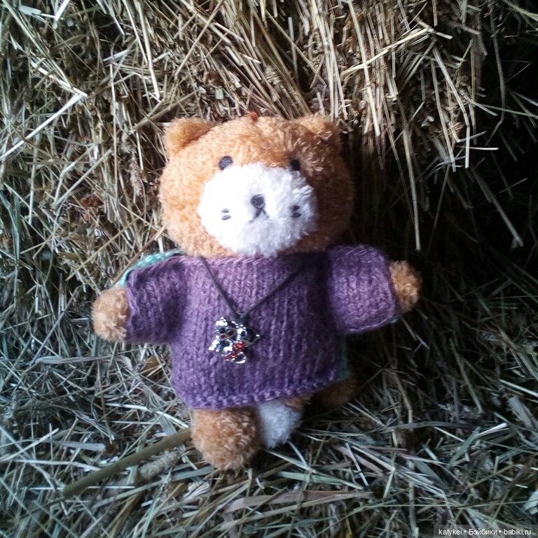 Джи, сено и новая модель свитера (опрос) (фото 3)