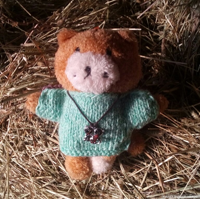 Джи, сено и новая модель свитера (опрос) (фото 2)