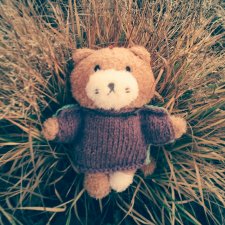 Джи, сено и новая модель свитера (опрос)