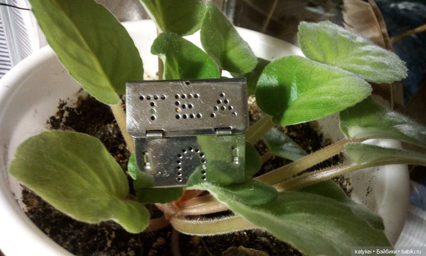 Кукольный домик — Болталка и разговоры обо всем: жизнь (фото 8)