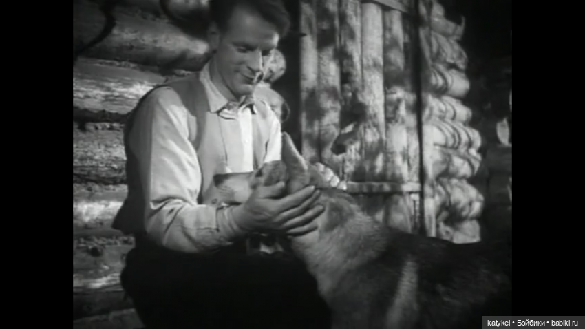 Белый Клык (постконкурс) и Зима (фото 2)