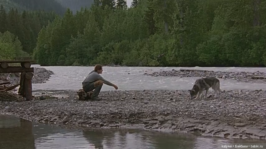 Белый Клык (постконкурс) и Зима (фото 3)