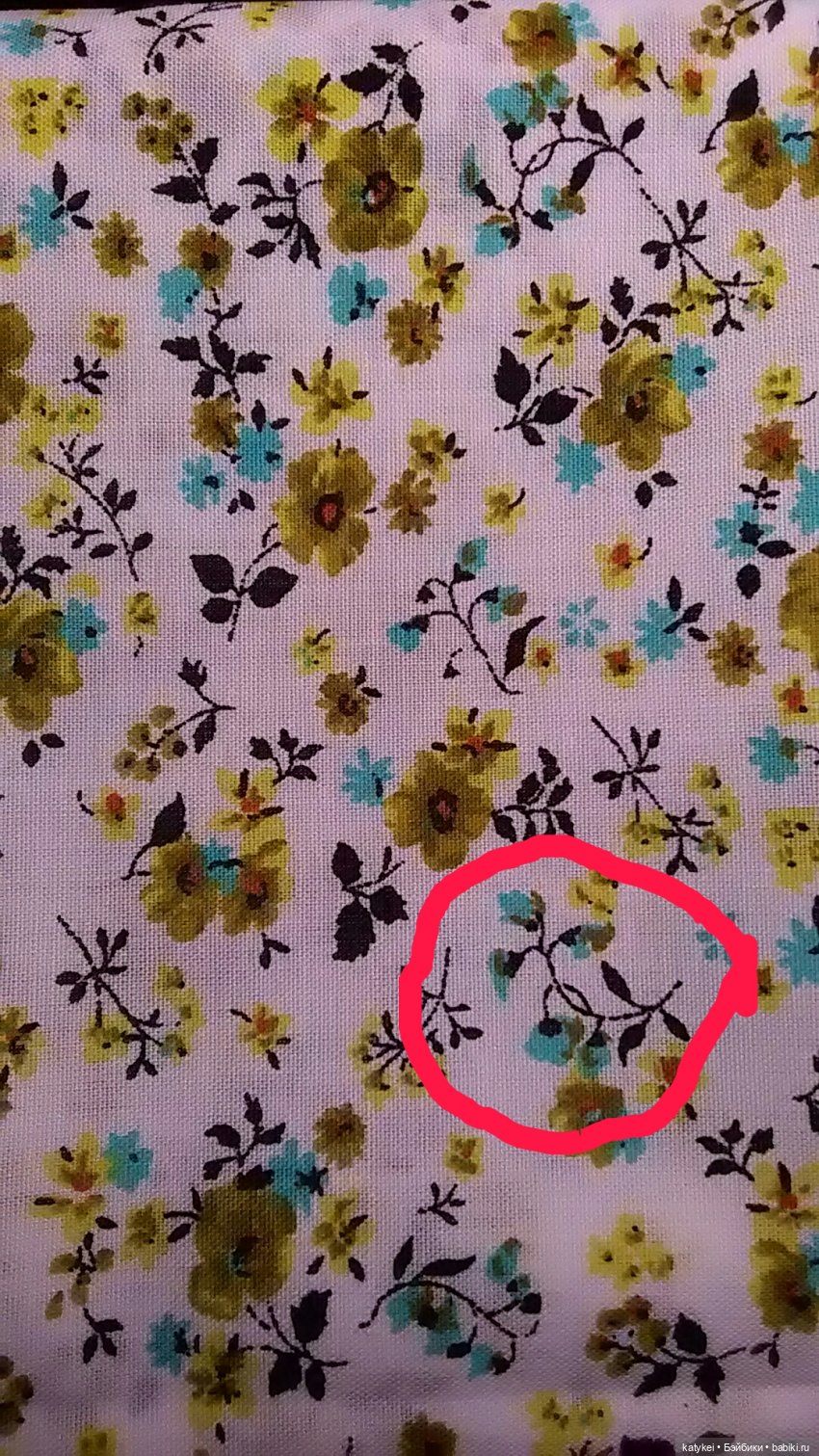 Игра Угадай цветочек — Болталка и разговоры обо всем: жизнь (фото 6)