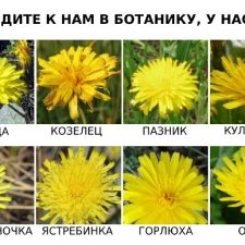 Нужен новый цвет