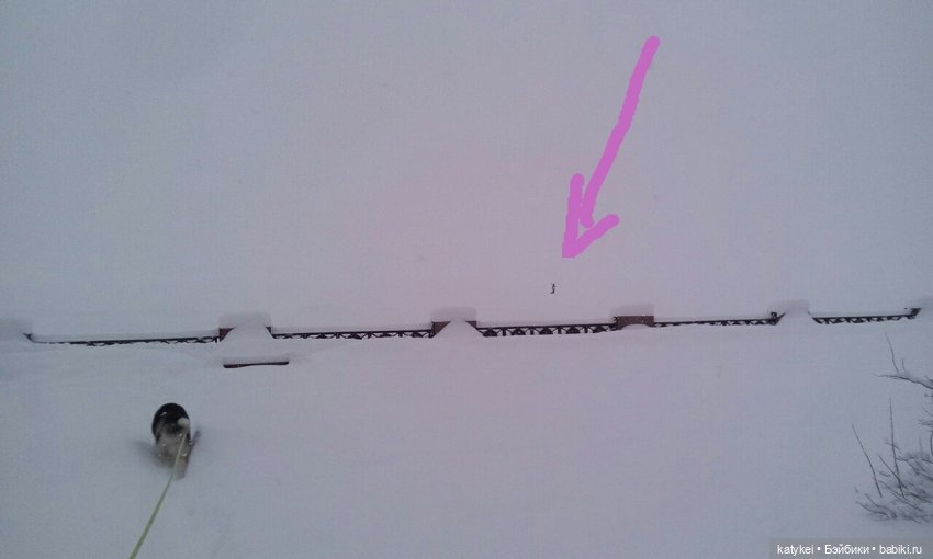 Экскурсия для тех, у кого нет снега (фото 4)