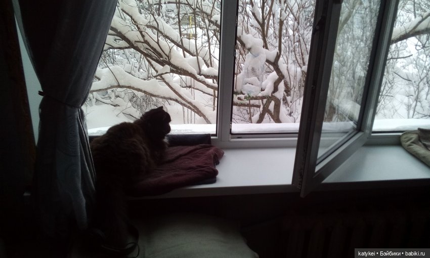 Экскурсия для тех, у кого нет снега (фото 5)