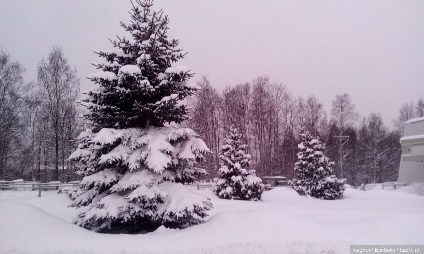 Экскурсия для тех, у кого нет снега (фото 3)