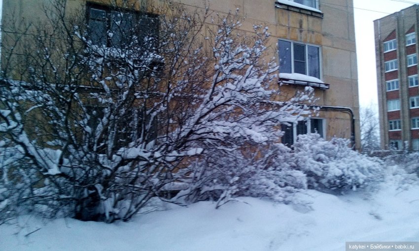 Экскурсия для тех, у кого нет снега (фото 6)