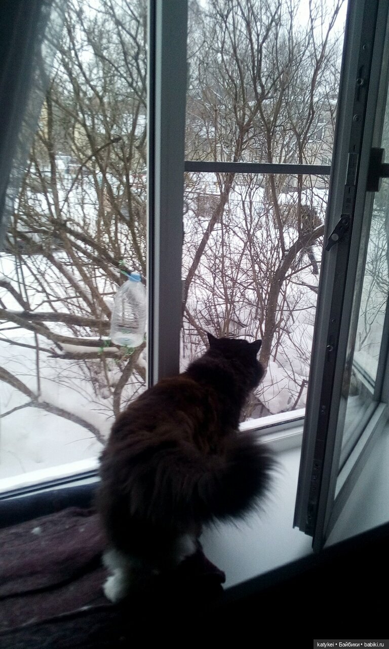 Зимнее солнцестояние (21 декабря) (фото 2)