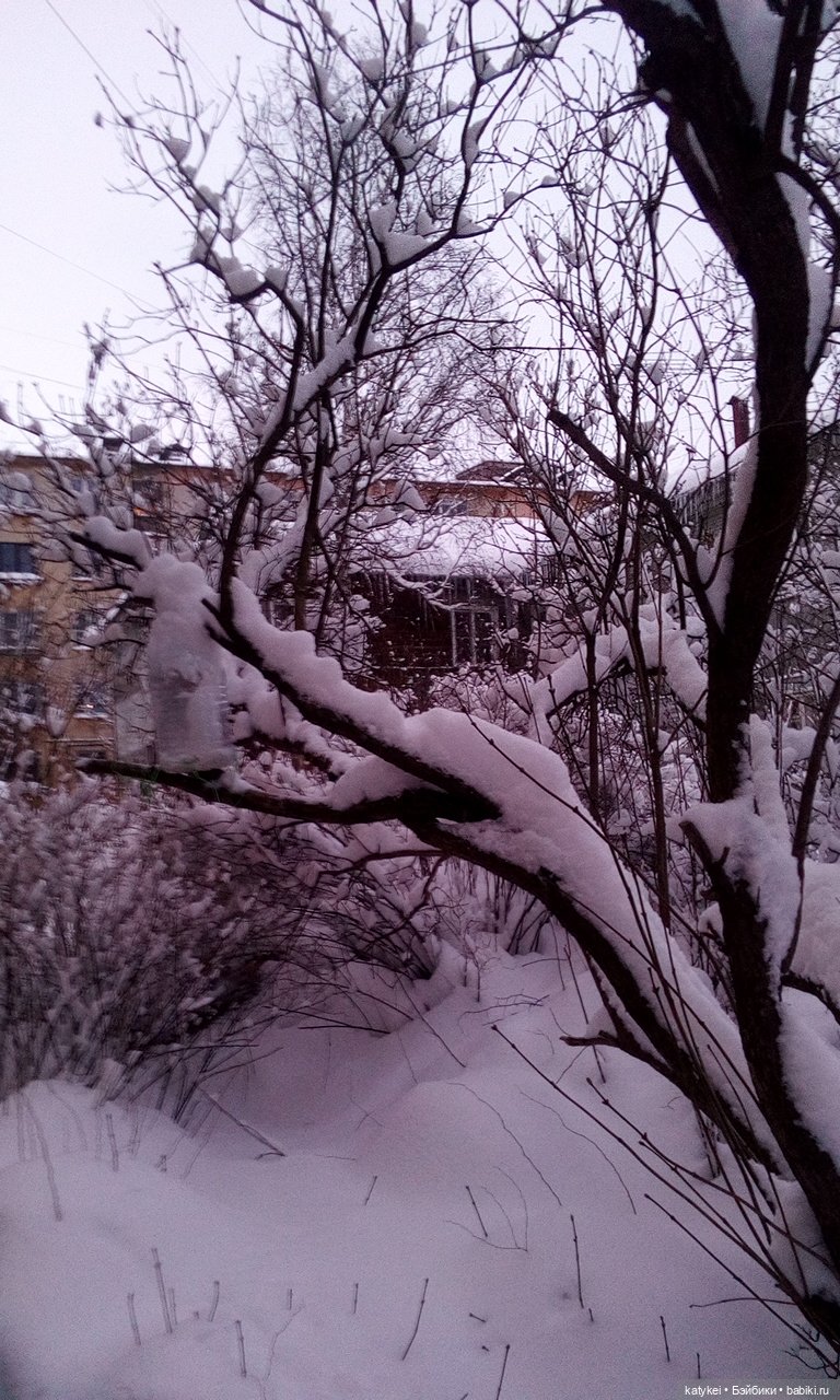 Экскурсия для тех, у кого нет снега (фото 7)