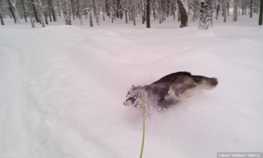 Экскурсия для тех, у кого нет снега (фото 2)