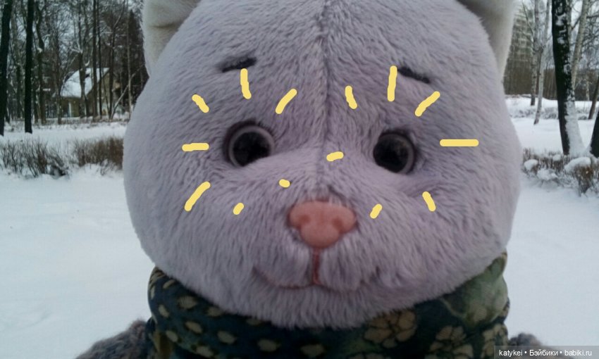 Как Риша ходила шарики смотреть